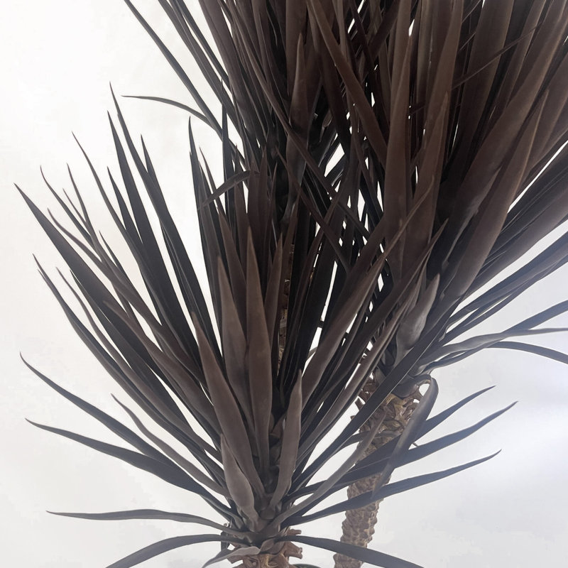 Anlin 155cm Faux Yucca Tree in Pot