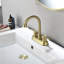 2-handle Bathroom Faucet with Drain Assembly-70980520