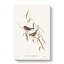 Pink-Breasted Wood-Robin by Elizabeth Gould - Wrapped Canvas-55325293