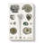 Collection Of Fossils III by Oliver Goldsmith - Wrapped Canvas Painting-55371146