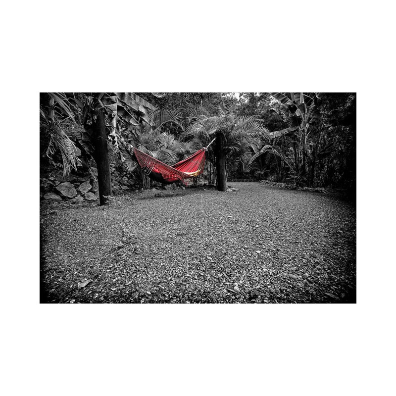 Tropical Forest XXI by Glauco Meneghelli - Wrapped Canvas Print, 101.6 cm H x 66.04 cm W