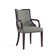 Elianys 18.5'' H Upholstered Beech Armchair