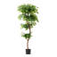 Amee 61" H Creative Shaped Faux Ficus Tree in Pot
