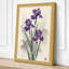 Violet Irises Botanical - Wrapped Canvas-1681034896-1681034899