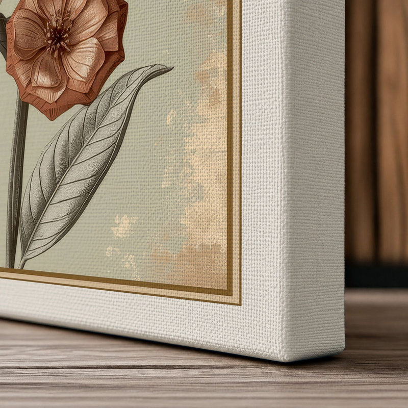Studies Botanical - Wrapped Canvas, 36x24 - 91.4 x 61.0 cm, Cream Border