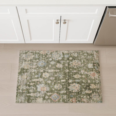 Machine Washable Indoor/Outdoor Chantille ACN2355 Traditional Rug