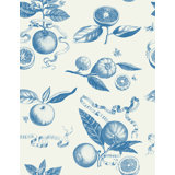 Citrus Toile 33' L x 20.5" W  Wallpaper Roll