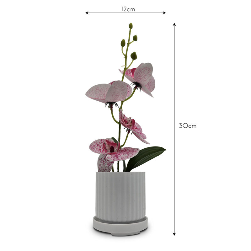 Nekiesha Hydrangea Arrangement in Vase