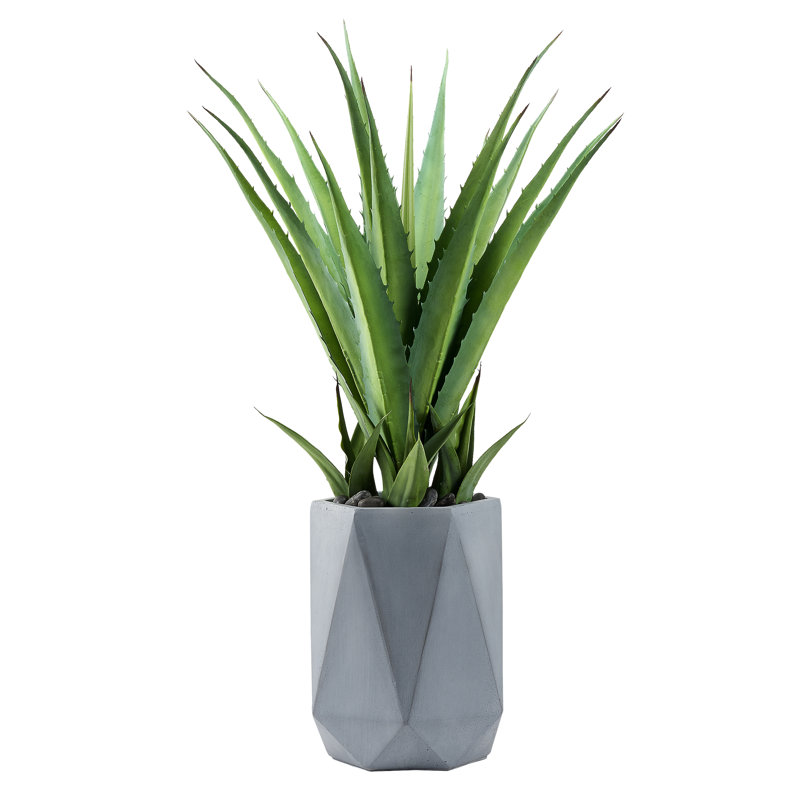 Plante grasse 42 po en pot géométrique, gris