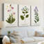 Nature imprimé Botanicals V - toile tendue sur mesure - 3 pièces-1991676667