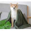 Couvertures pour chiens