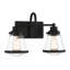 Mannsdale 2 - Light Vanity Light by Minka-Lavery®