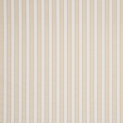 Tissu à rayures Schumacher x Timothy Corrigan