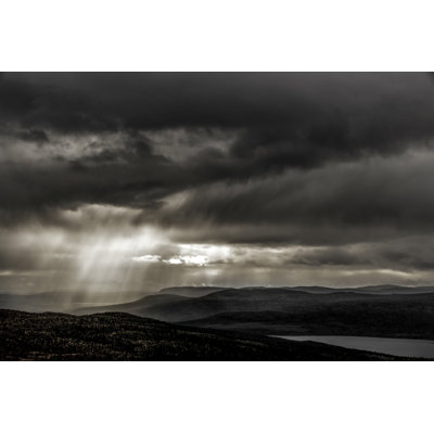 «Moody Woodland» par Woutervandenbroek - photographie sur toile tendue