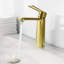 Paula Single Hole Single-Handle Bathroom Faucet-110897511