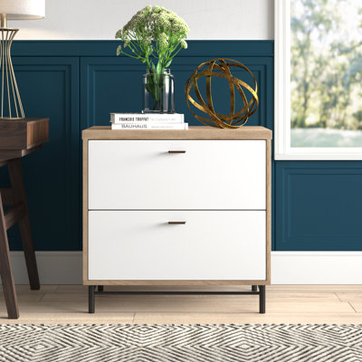 Hanner 30.24'' Wide 2 -Drawer File Cabinet