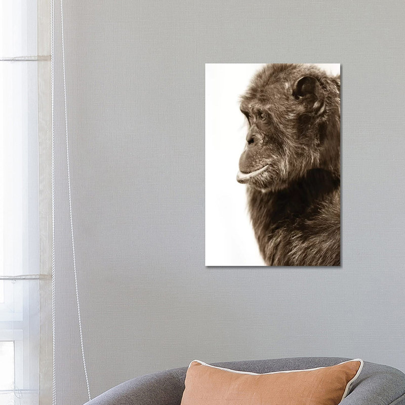Chimpanzee III by Goran Anastasovski - Wrapped Canvas Print, 66.04 cm H x 45.72 cm W x 1.91 cm D