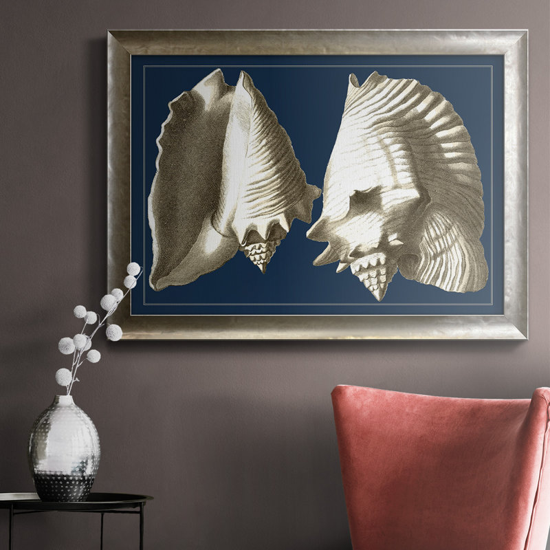 Conch Shells On Navy I, toile encadrée de qualité supérieure - prête à être accrochée, H 16 po x l 20 po