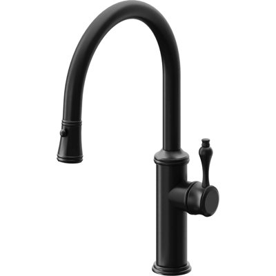 Davoli Kitchen Faucet