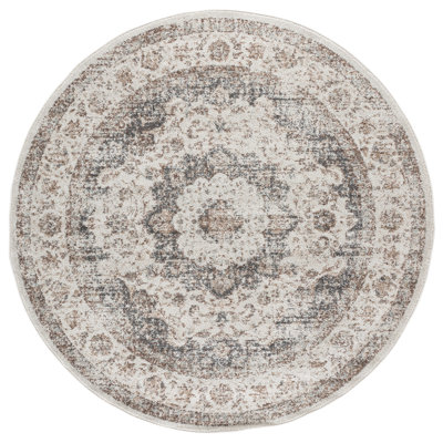 Evoke 220 Performance Oriental Rug