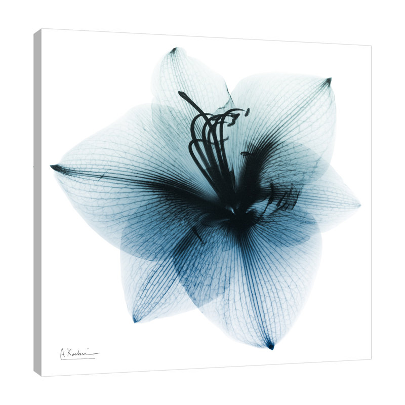 «Glacial Amaryllis 1», toile tendue par Albert Koetsier, H 18 po x l 18 po x P 1,5 po