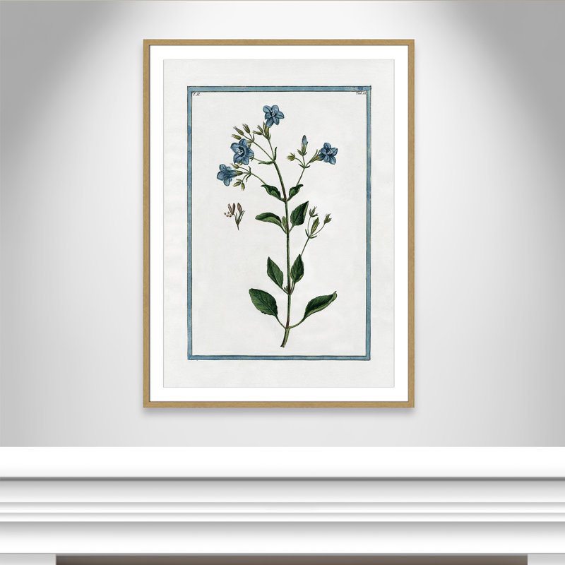 Colombe Shabby Elegance Botanical II - Art encadré, L 29,5 po x H 41,5 po, Cadre naturel