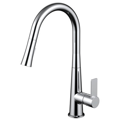 Daweier Pull Out Kitchen Faucet