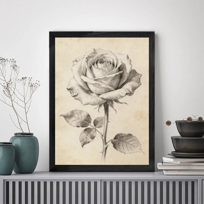 Art encadré noir, rose rétro, rose de jardin, rose panachée, art de plante rose, reproduction d'art rétro de style croquis