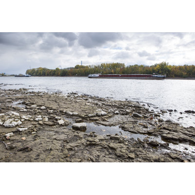Rhine River by Ollo