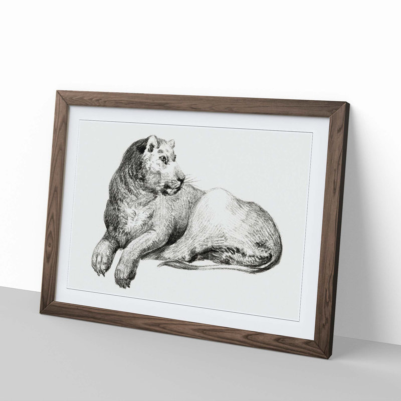 Young Lion by Jean Bernard - Picture Frame Drawing Print, Walnut Framed, 48cm H x 65cm W x 2cm D