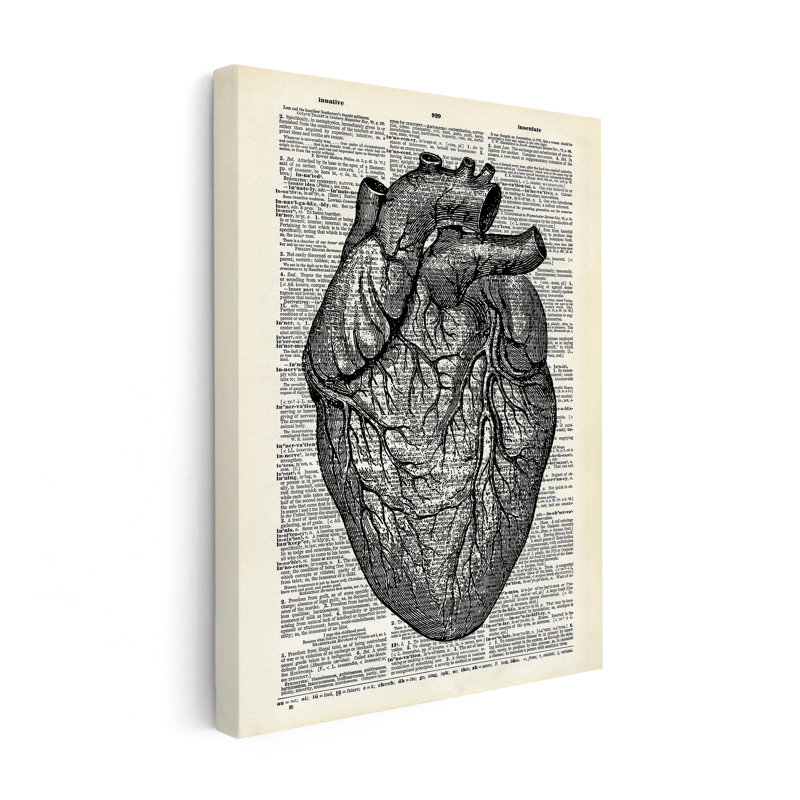 Anatomie du cœur, Unframed, Canvas, 16"H x 20"W
