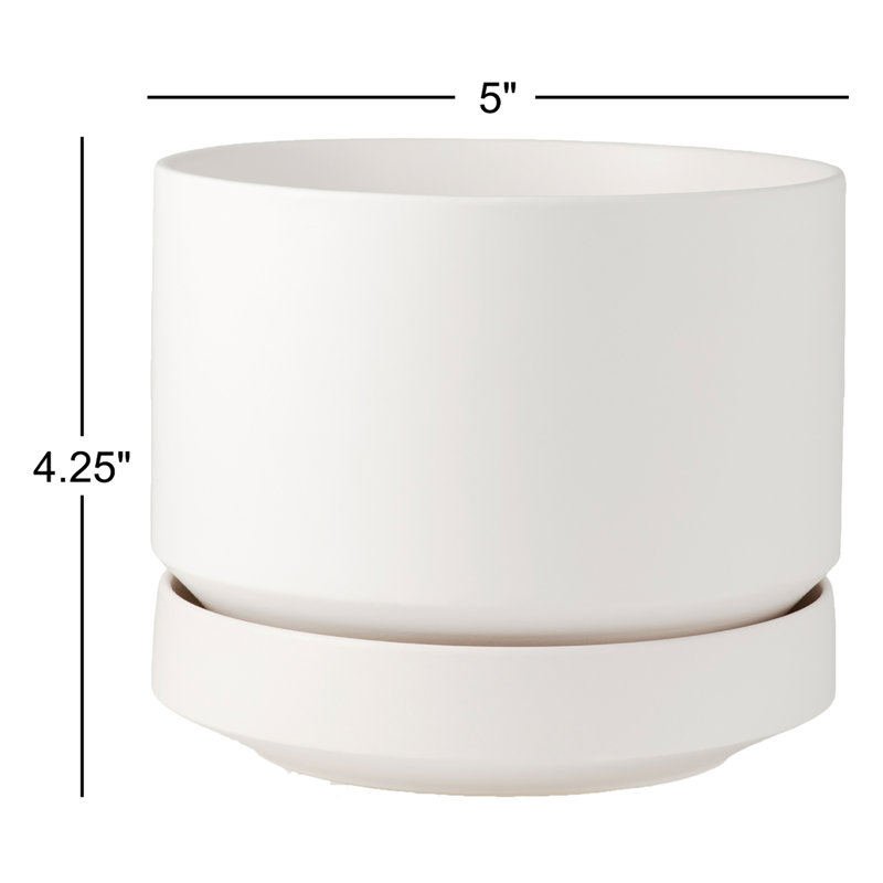 Pot à fleurs en céramique Byer, Blanc, H 4,25 po x l 5 po x P 5 po