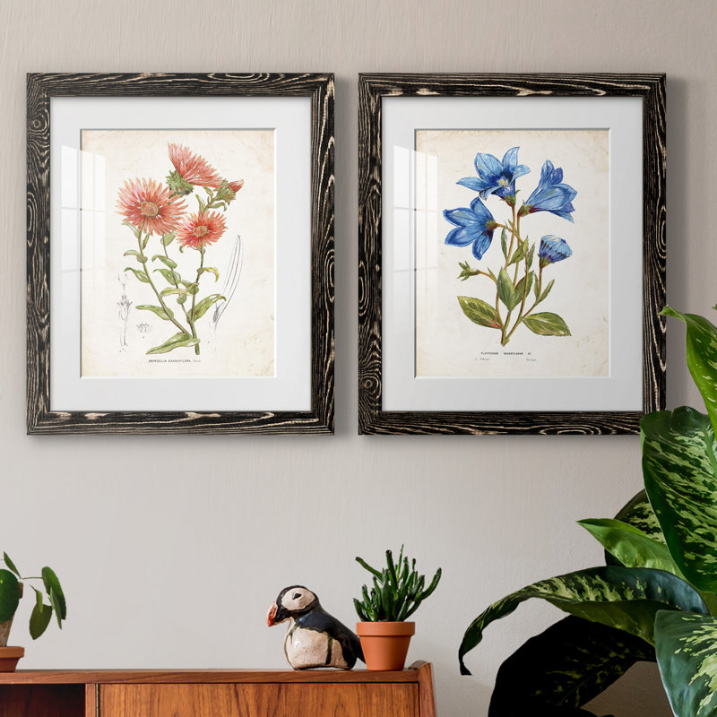 «Botanical I», ensemble de 2 reproductions d'art, Blanc, H 31,5 po x l 47 po x P 1,5 po, H 20 po x l 17 po x P 1 po