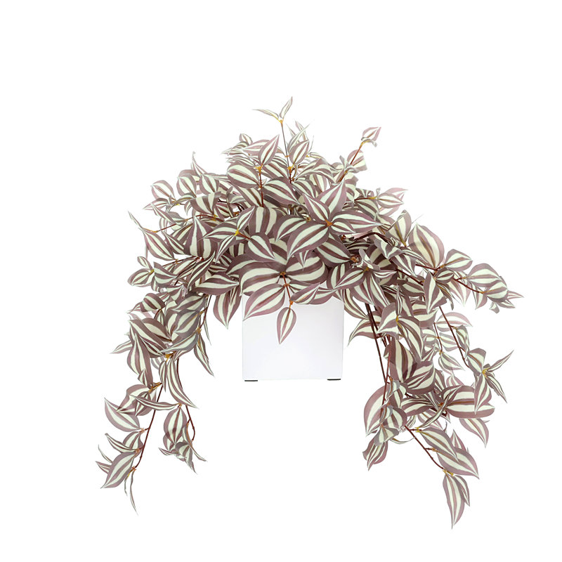 Tradescantia disposée dans un pot en fibre de pierre, 16 x 35 x 35