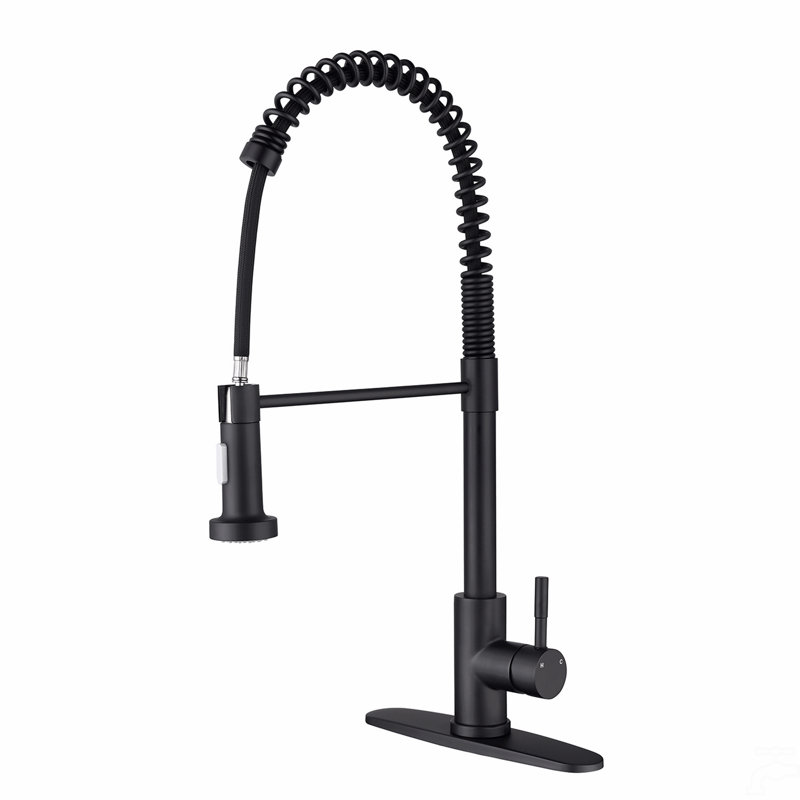 Robinet de cuisine avec douchette extractible