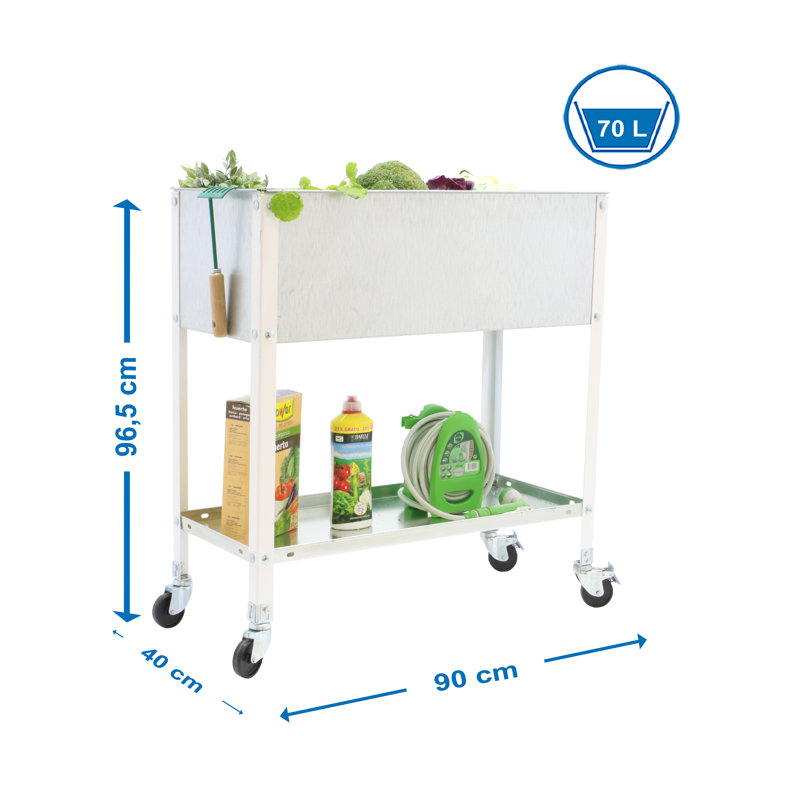 Alexay 90cm W Metal Height -Adjustable Shelving Unit with Wheels