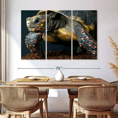 Tortue à pieds rouges Brampt