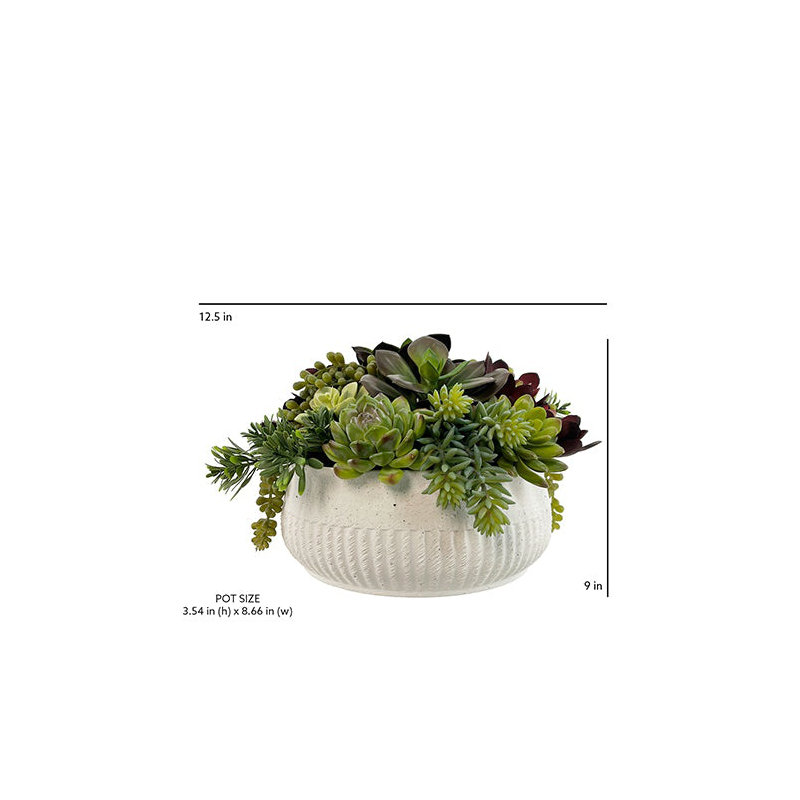 12" Succulent Arrangement