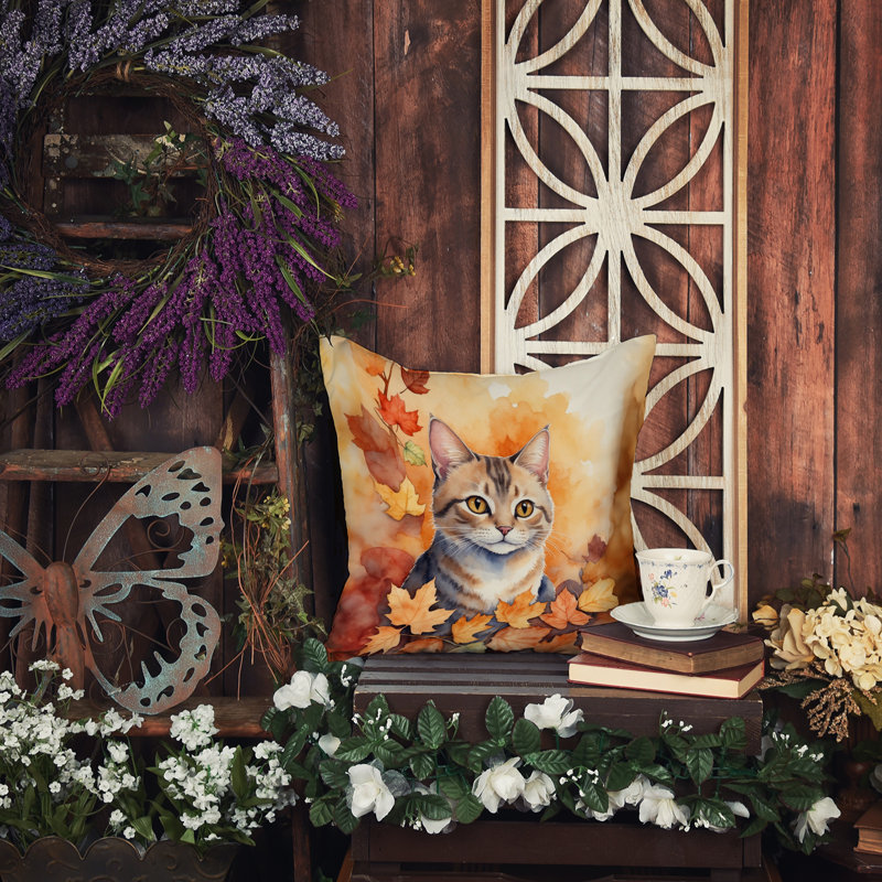 Coussin Raas, Carré 14 po