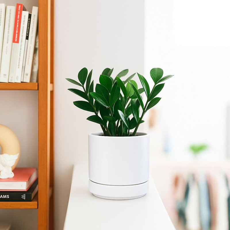 Ceramic Planter, White