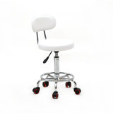 Salon Backed Adjustable Height Lab Stool with Wheels
