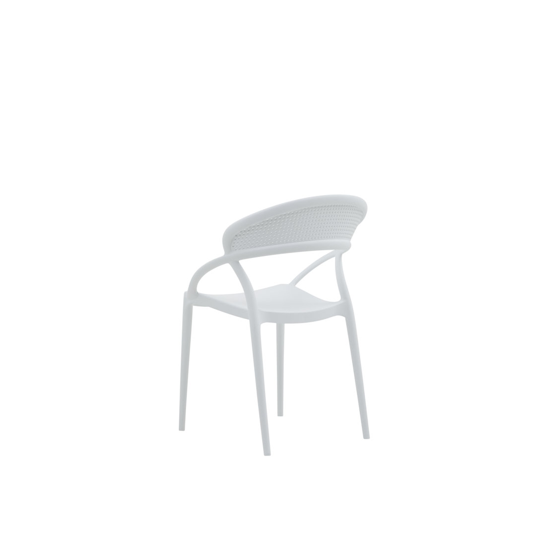 Sedia Dining Chair
