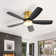 42 Inch Flush Mount Ceiling Fans With LED Light 22W And Remote Control 5 ABS Fan Blades For Bedroom Patio