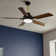 54'' Ceiling Fan with LED Lights