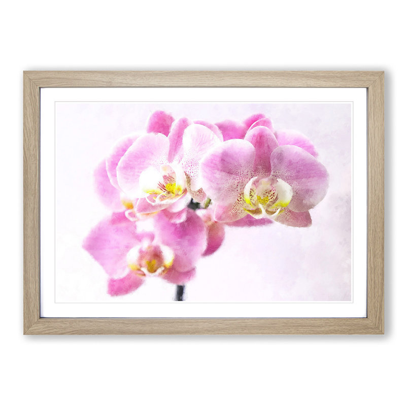 Pink Orchid Flower 1 Piece Single Picture Frame Wall Art on MDF, 33cm H x 45cm W x 2cm D, Oak