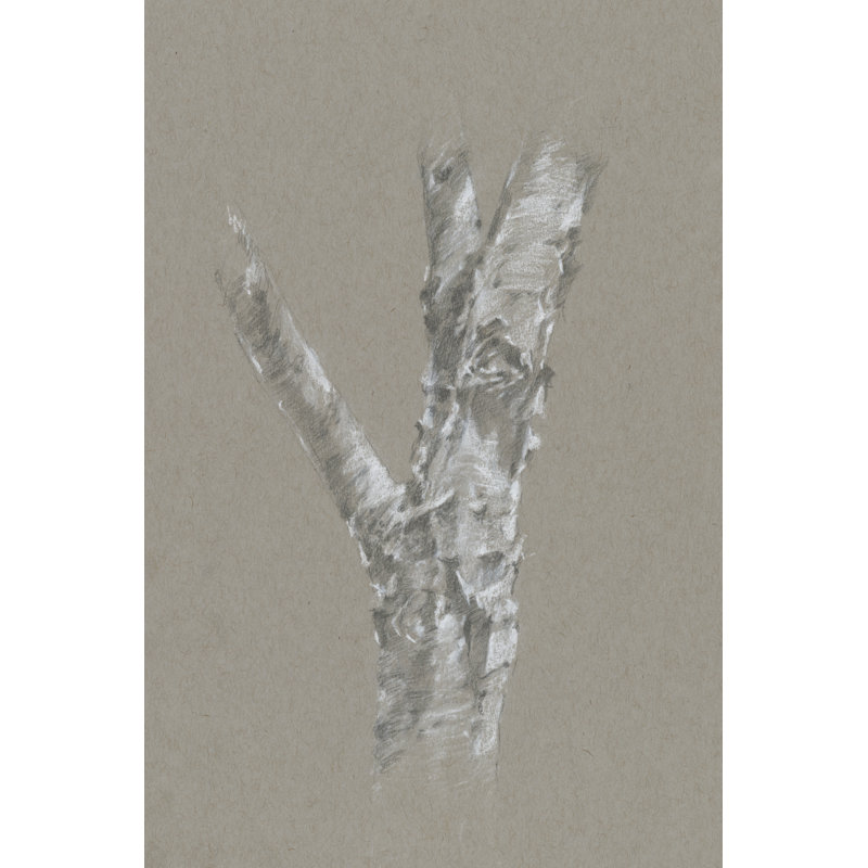 Chalk Birch Study II by Ethan Harper - Drawing Print, Wrapped Canvas, 30 cm H x 20 cm W
