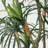 74" Artificial Yucca Tree in Plastic Pot