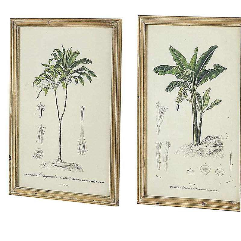 S/2 Tree Framed Print, 15.5x23.5"