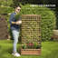  Lit surélevé pour jardin en bois avec treillis Howes (paquet de 2)