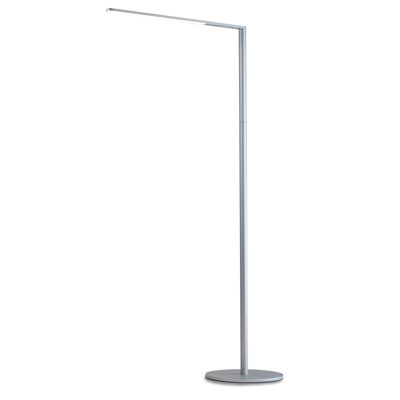 Lady7 52.05'' Dimmable LED Floor Lamp
